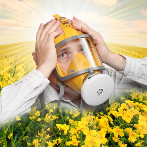 Surviving the summer with Hay Fever